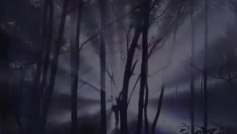 王子与公主冒险